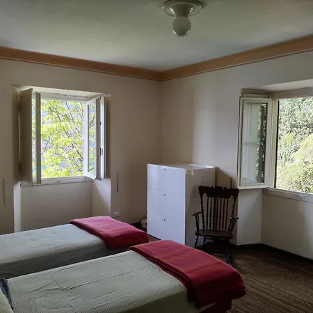 Magnifica Di Fine '800 * ブレーヴィオ