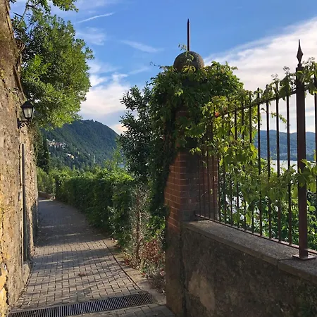 Magnifica Di Fine '800 *